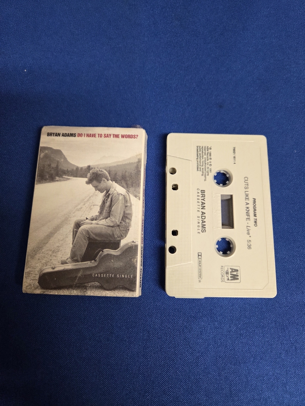 Bryan Adams Do I Have To Say The Words 1991 A&M